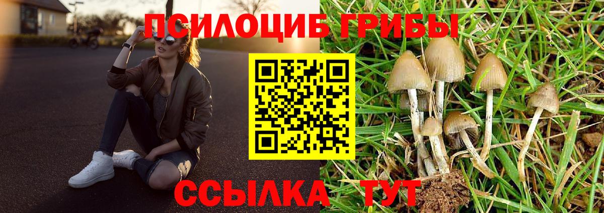 Петропавловск-Камчатский  Псилоцибиновые грибы Magic Shrooms  Вход с VPN 