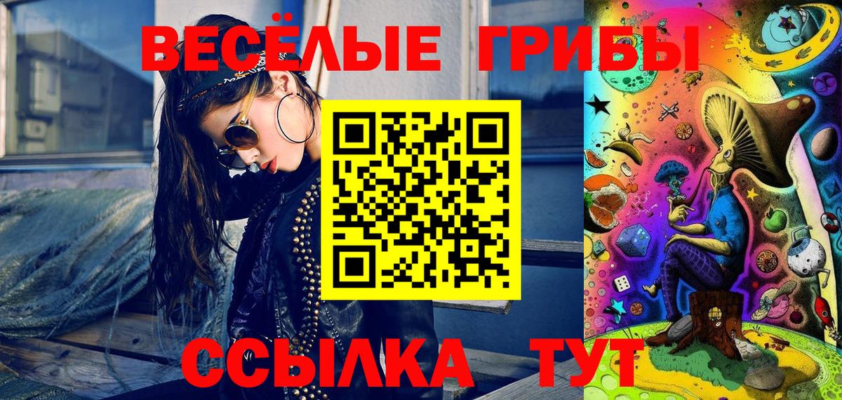 Псилоцибиновые грибы мухоморы Петропавловск-Камчатский